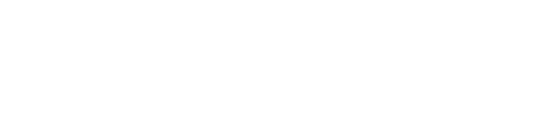 Brandes Insurance Agency - Logo 800 White