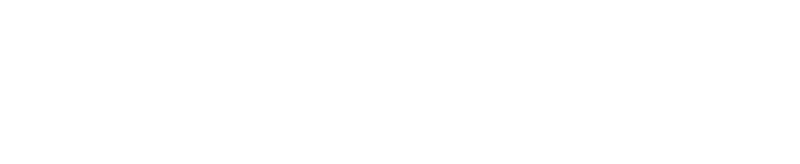 Partner-Travelers-White